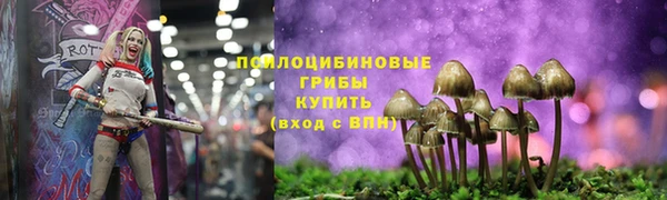 круглые Аркадак