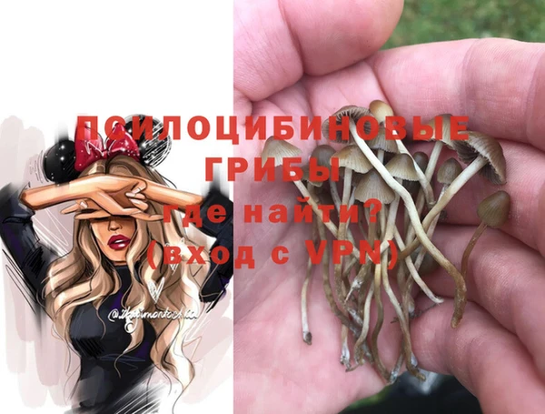 круглые Аркадак