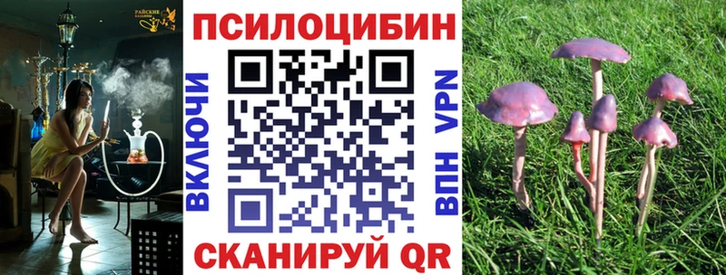 кракен ССЫЛКА  купить закладку  Белово  Псилоцибиновые грибы GOLDEN TEACHER 
